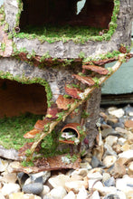 Load image into Gallery viewer, Treetop Fairy House - Furnished