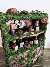 Load image into Gallery viewer, Fairy Apothecary Cabinet