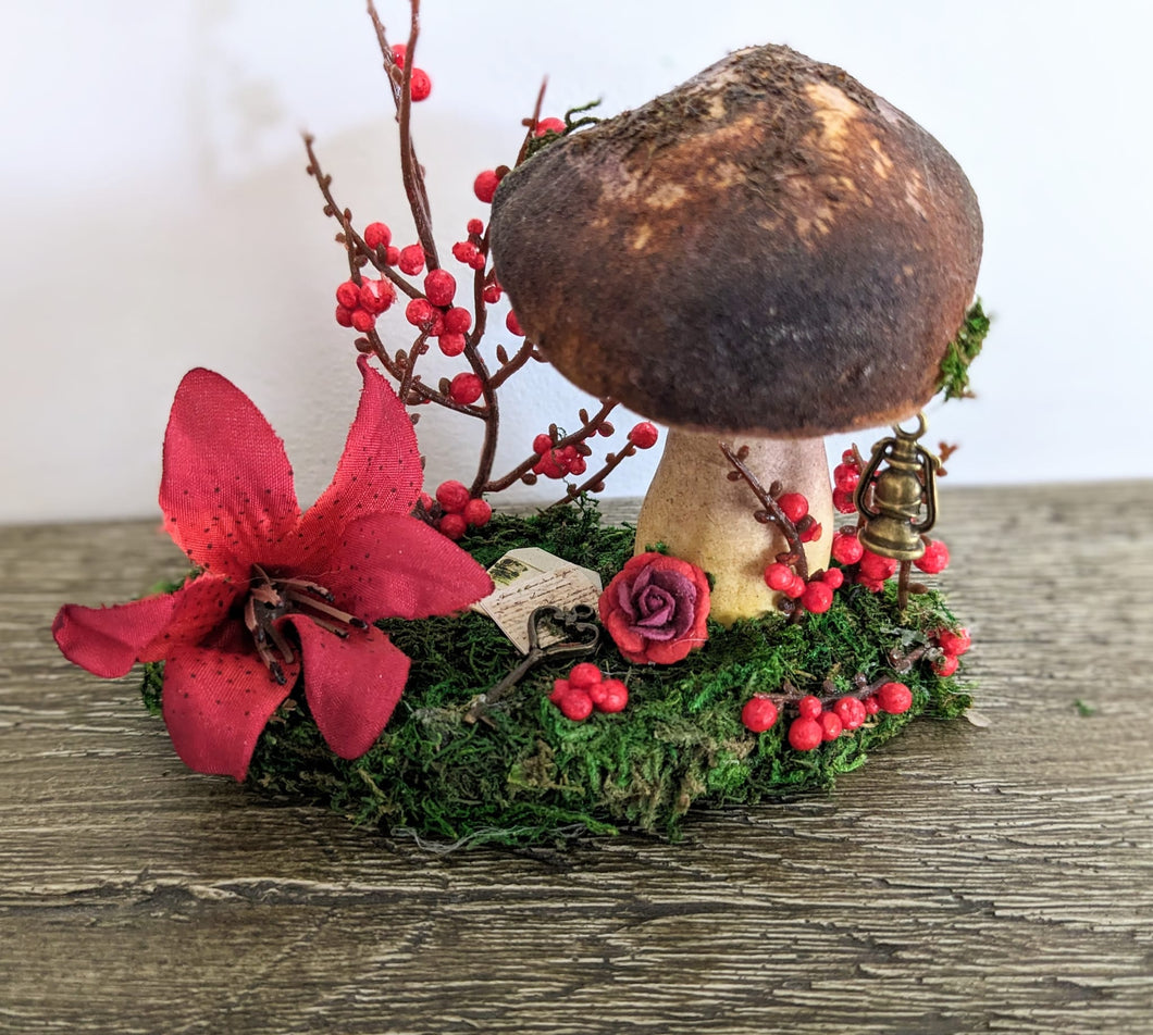 Mushroom Toadstool Scene