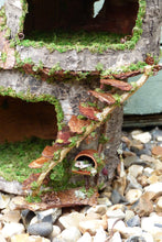 Load image into Gallery viewer, Treetop Fairy House - Unfurnished
