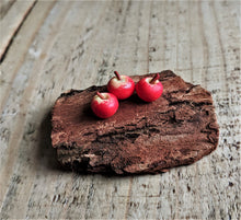 Load image into Gallery viewer, Miniature Apples - x3
