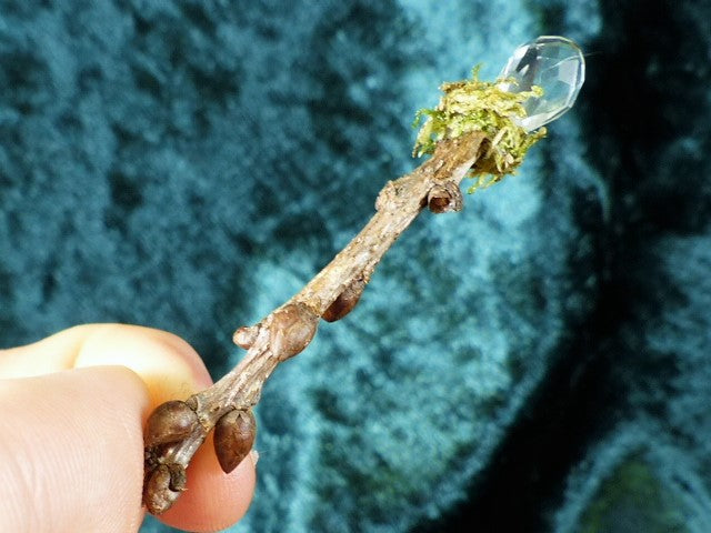 Fairy Wand