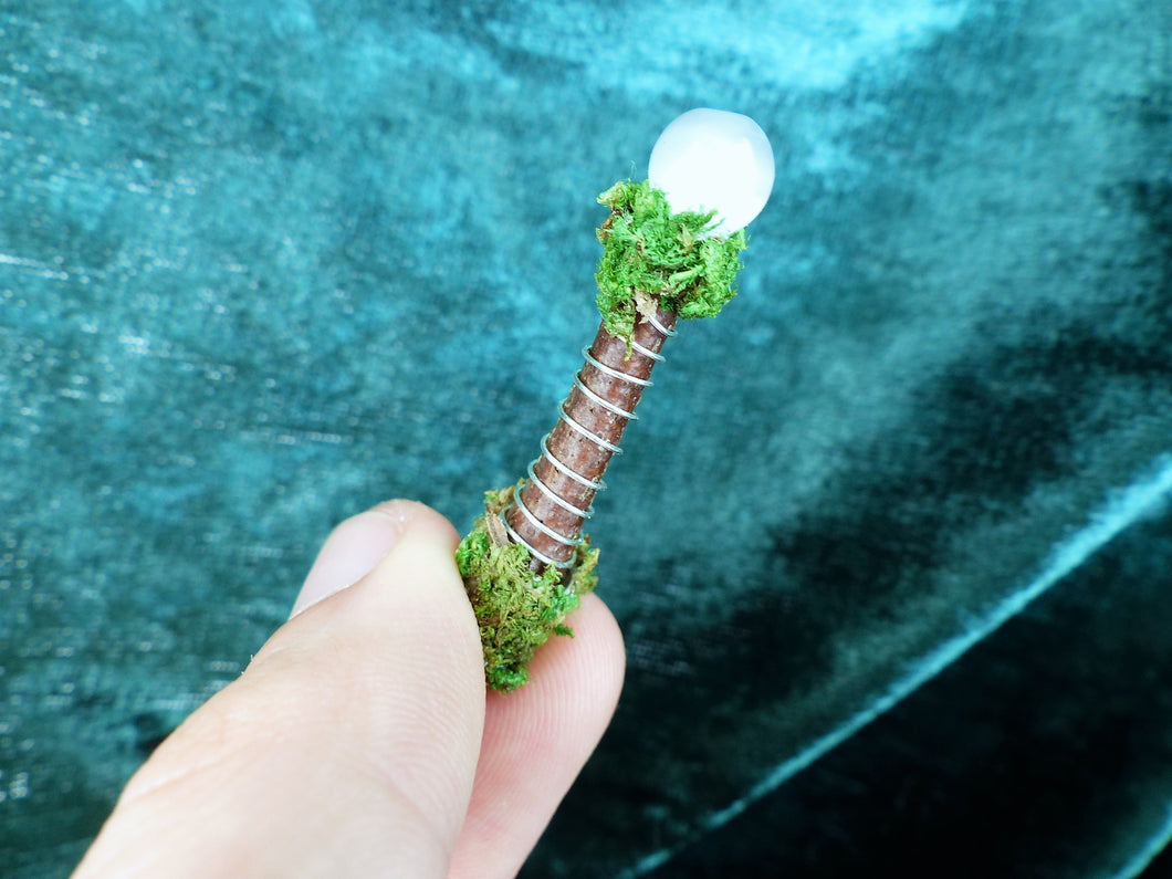 Fairy Wand