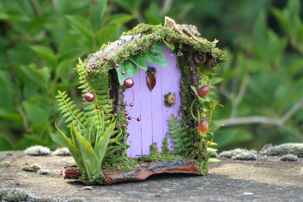 Forest Fairy Door
