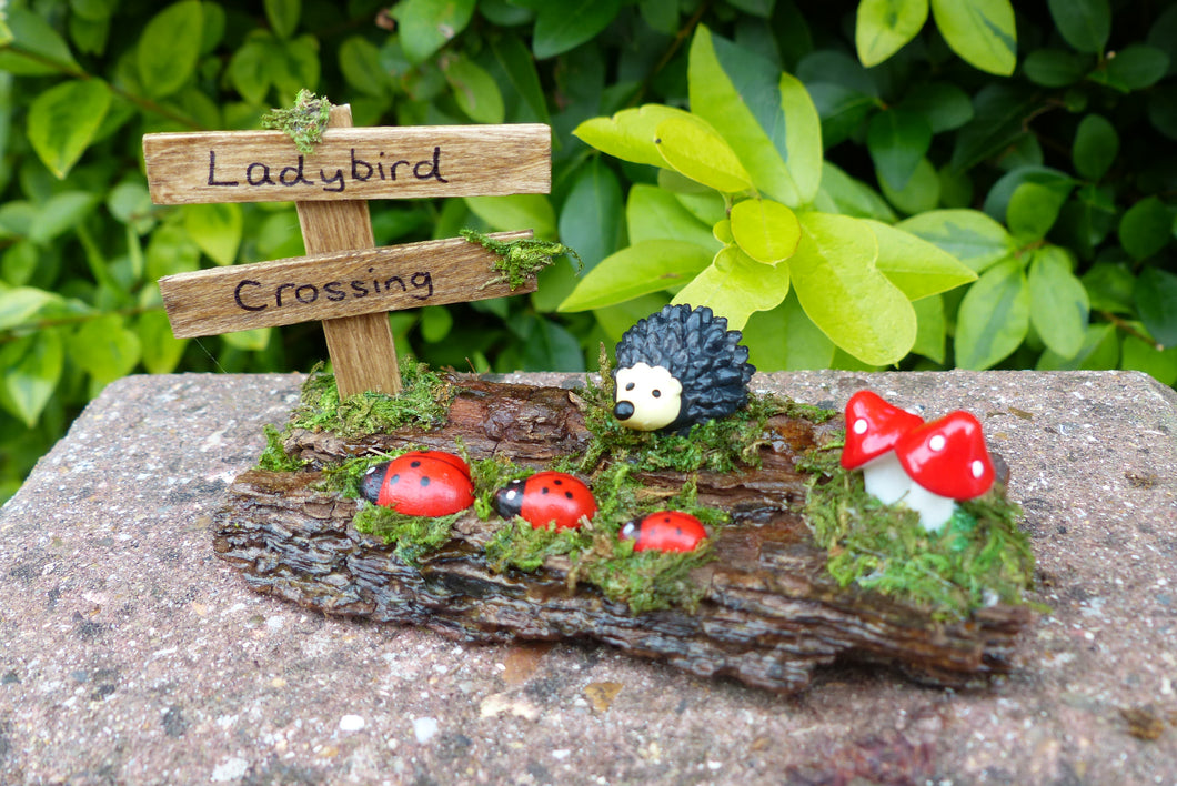 Ladybird Crossing