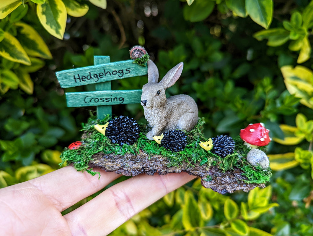 Hedgehog Crossing