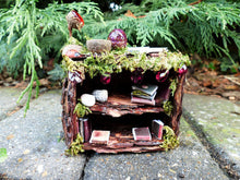 Load image into Gallery viewer, Miniature Fairy Bookcase
